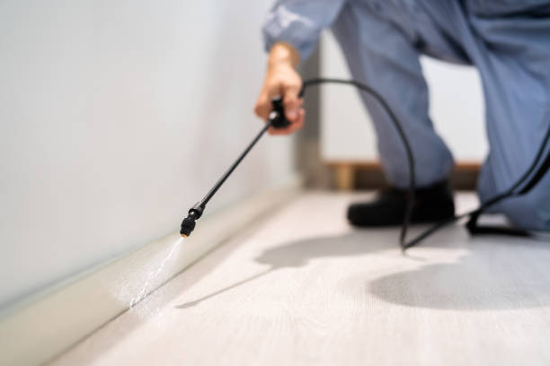 Bed Bug Pre-Treatment Preparation Assessment in Henning