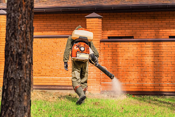 Bed Bug Clearance Verification and Documentation in Henning